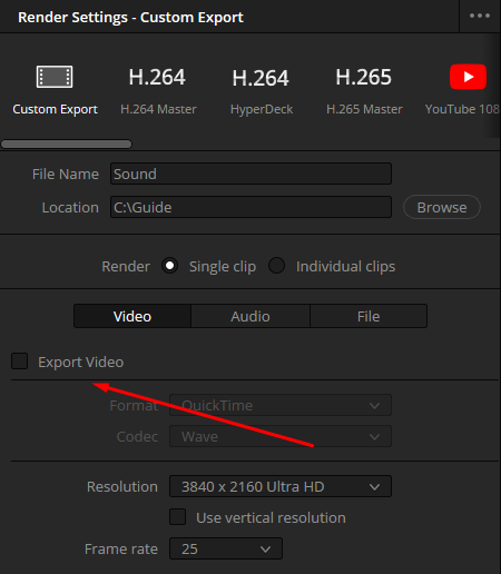 On the Video tab, disable Export Video to export audio only.